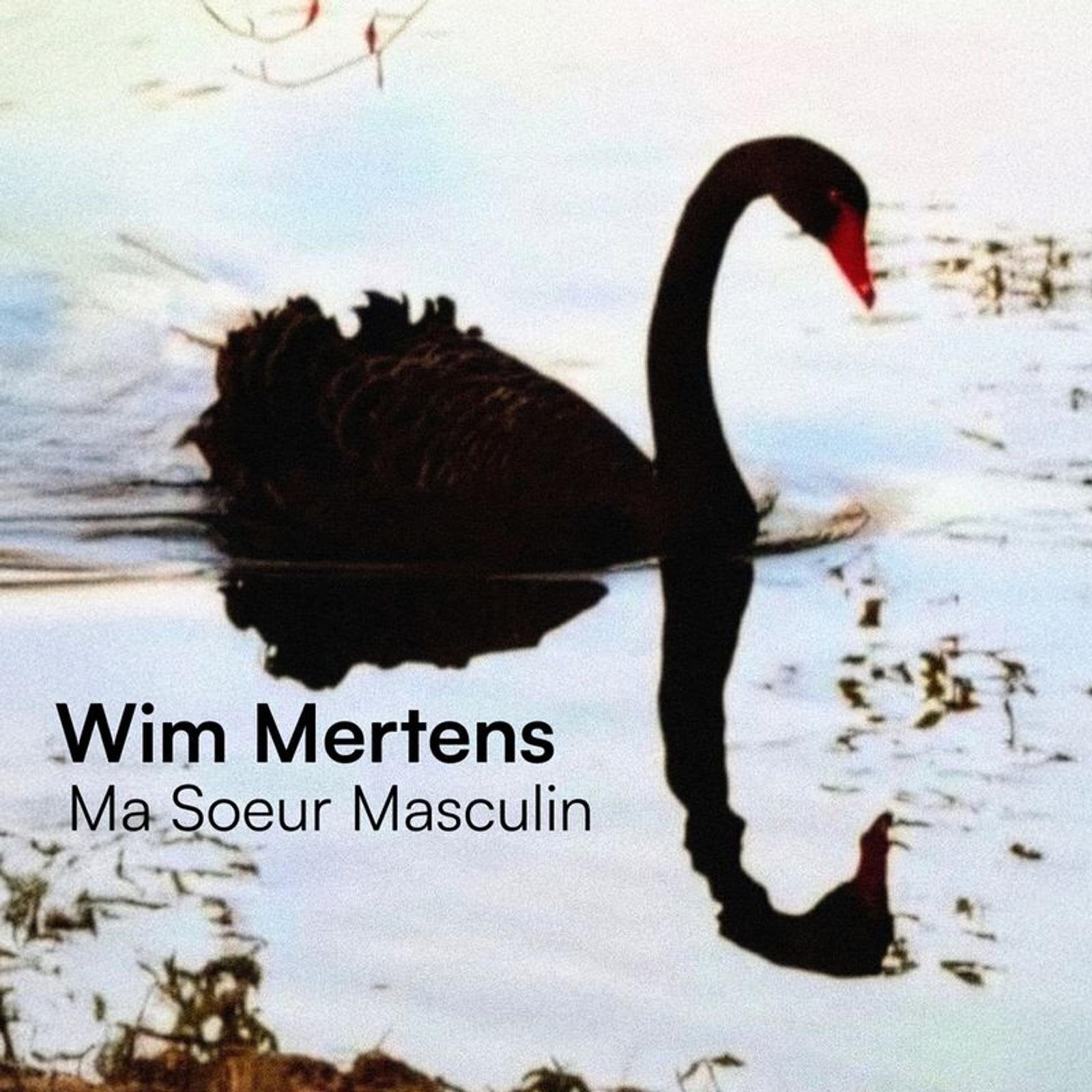 CD de música Wim Mertens - Ma Soeur Masculin (CD)