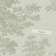 Muzyczne CD Chad Lawson - Hush (CD)