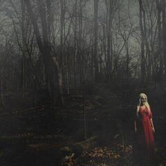 Vinyl Record 156/Silence - From A Distance (Limited Edition) (Gatefold) (Orange/Red Coloured) (LP)