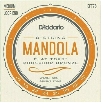 Mandoline Strings D'Addario EFT76 - 1