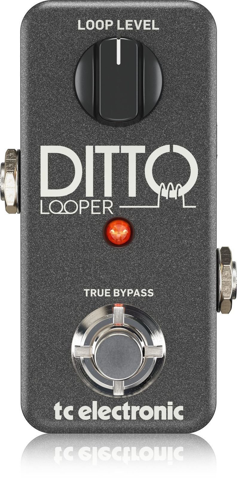 Guitar Effect TC Electronic Ditto Looper