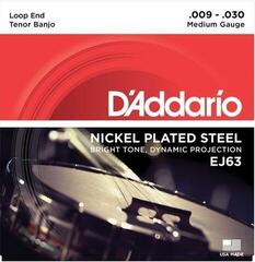 Banjo Strings D'Addario EJ63 Banjo Strings