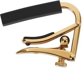 Capodastre pour guitare accoustique Shubb Royale C1 Gold Capodastre pour guitare accoustique