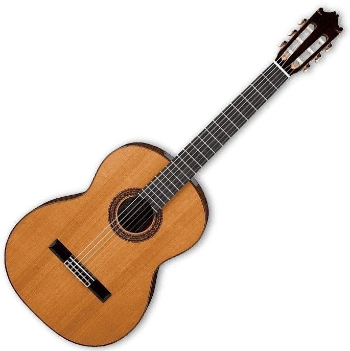 Класическа китара Ibanez G300 NT
