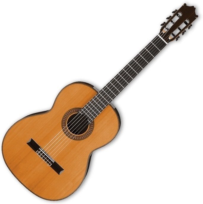 Класическа китара Ibanez G500 NT