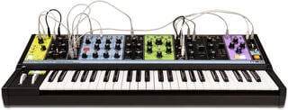 Synthesizer MOOG Matriarch Synthesizer Black (Rabljeno)