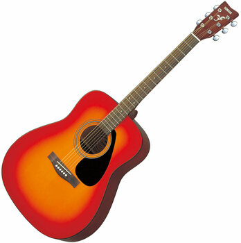 Akoestische gitaar Yamaha F310 CS - 1