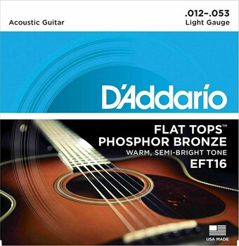 Cordes de guitares acoustiques D'Addario EFT16 - 1