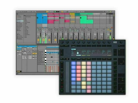 DAW Sequencer-Software ABLETON Push 2 + Live 10 Standard E-licence - 1
