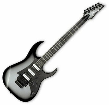 Guitare électrique Ibanez RG450EX Metallic Silver Burst - 1