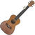 Koncertní ukulele Aiersi SU024T Concert
