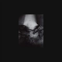LP deska Common Eider, King Eider - A Wound Of Body (LP)