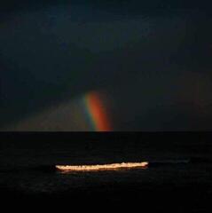 Vinyl Record Electric Litany - Under A Common Sky (Limited Edition) (White Coloured) (LP)