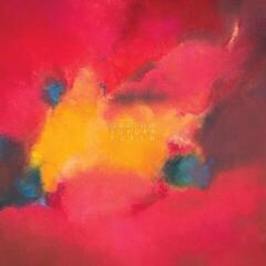 Schallplatte Oddzoo - Future Flesh (LP)