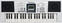 Dětské klávesy / Dětský keyboard Pianonova LP4410