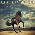 Bruce Springsteen - Western Stars (Gatefold Sleeve) (2 LP)