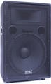 Soundking J 215 Passive Loudspeaker (Like new)