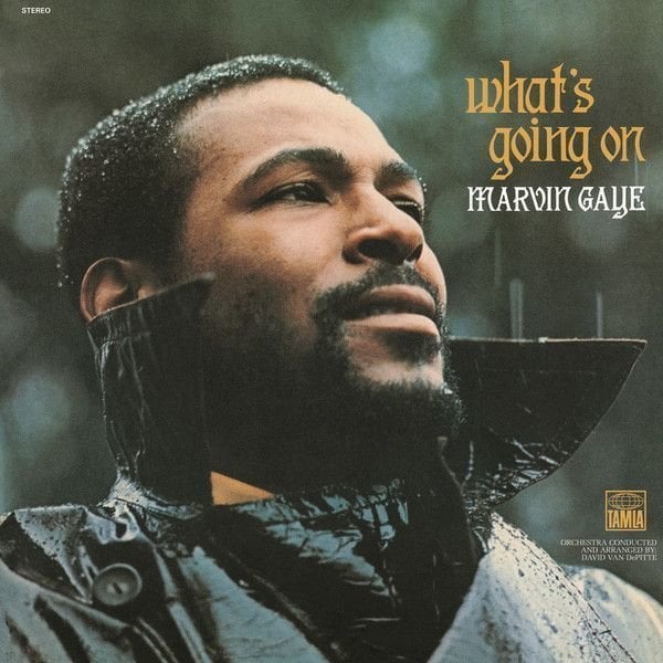 Vinyl Record Marvin Gaye - What's Going On (LP)