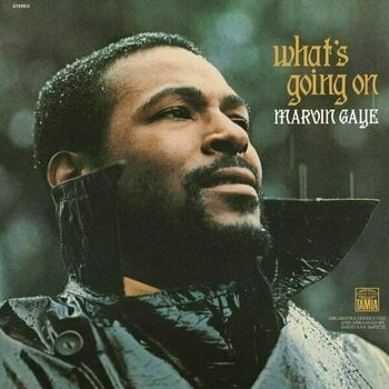 Vinyl Record Marvin Gaye - What's Going On (LP) - 1