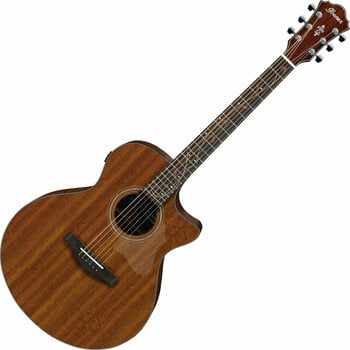 Guitare Jumbo acoustique-électrique Ibanez AE295-LGS Natural - 1