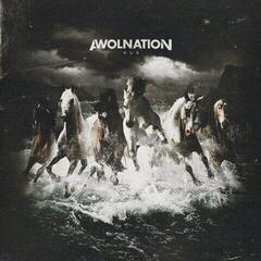 Awolnation Run (2 LP) Awolnation Run (2 LP)