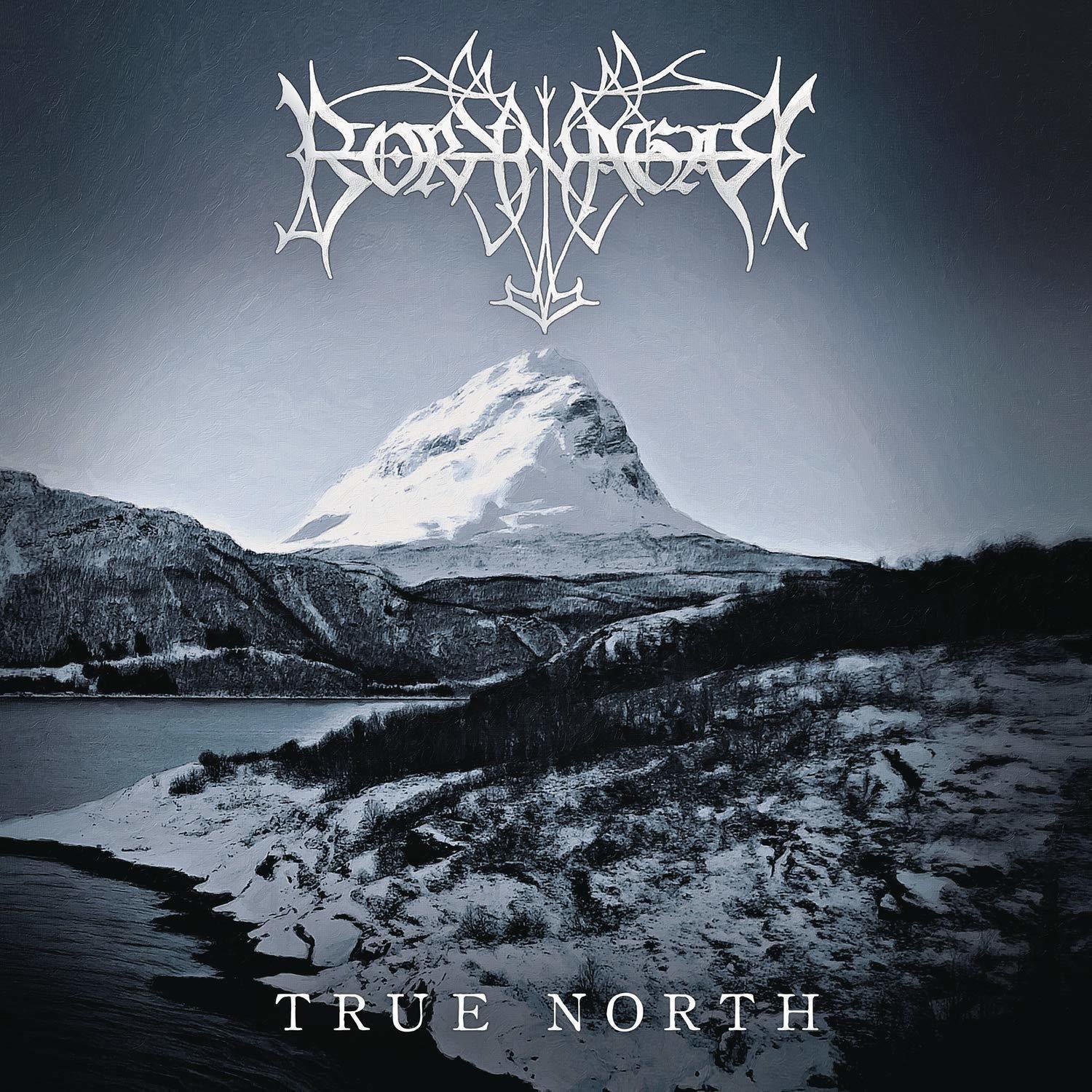 LP ploča Borknagar True North (Gatefold Sleeve) (2 LP)