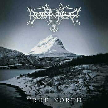 Vinyylilevy Borknagar True North (Gatefold Sleeve) (2 LP) - 1