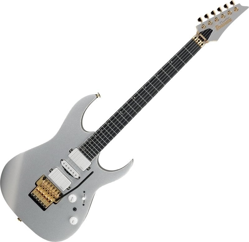 Guitarra eléctrica Ibanez RG5170G-SVF Silver Flat