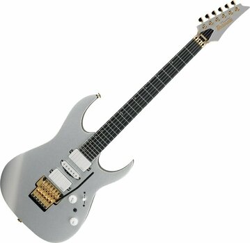 Electric guitar Ibanez RG5170G-SVF Silver Flat - 1