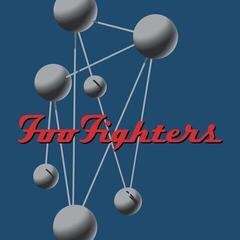 Vinyl Record Foo Fighters - Colour and the Shape (2 LP)