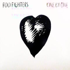 Vinyl Record Foo Fighters - One By One (2 LP)