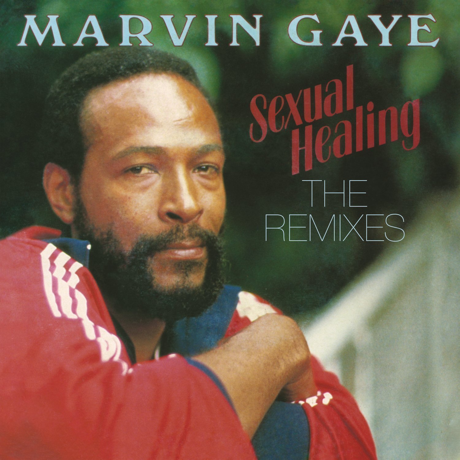 LP deska Marvin Gaye Sexual Healing: The Remixes (35th)