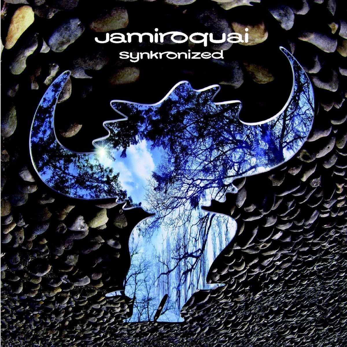 Schallplatte Jamiroquai Synkronized (LP)