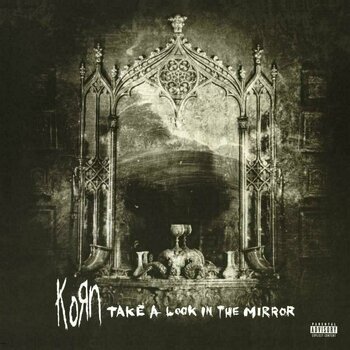 Vinyl Record Korn Take a Look In the Mirror (2 LP) - 1