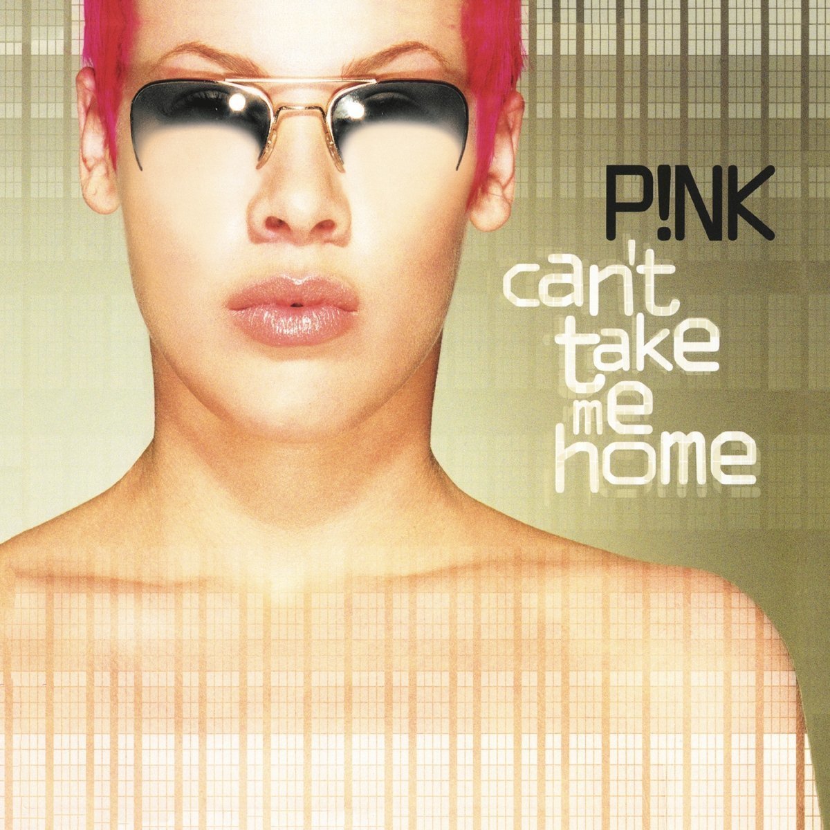 Vinylskiva Pink Can't Take Me Home (2 LP)