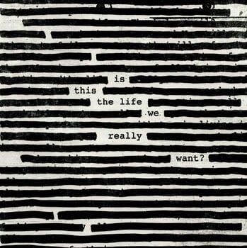 Disque vinyle Roger Waters Is This the Life We Really Want? (2 LP) - 1