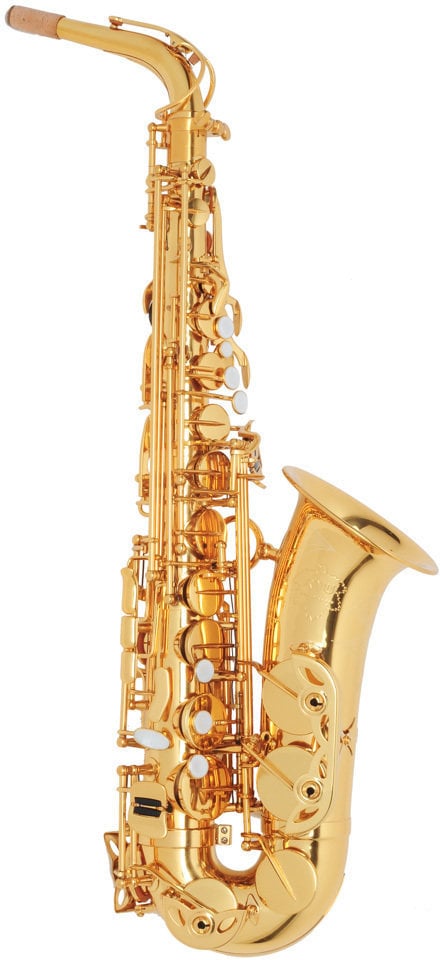 Alto saxophone Ryu RSA Academy