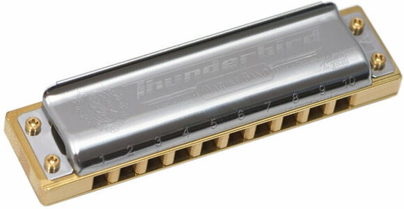 Diatonic harmonica Hohner M201173x - 1