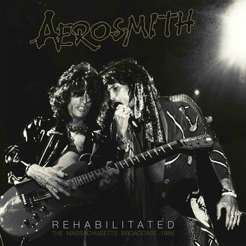 Vinyl Record Aerosmith - Rehabilitated (2 LP) - 1