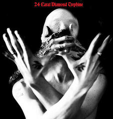 Avalanche Party 24 Carat Diamond Trephine (Vinyl LP)