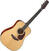 electro-acoustic guitar Takamine EF340S-TT