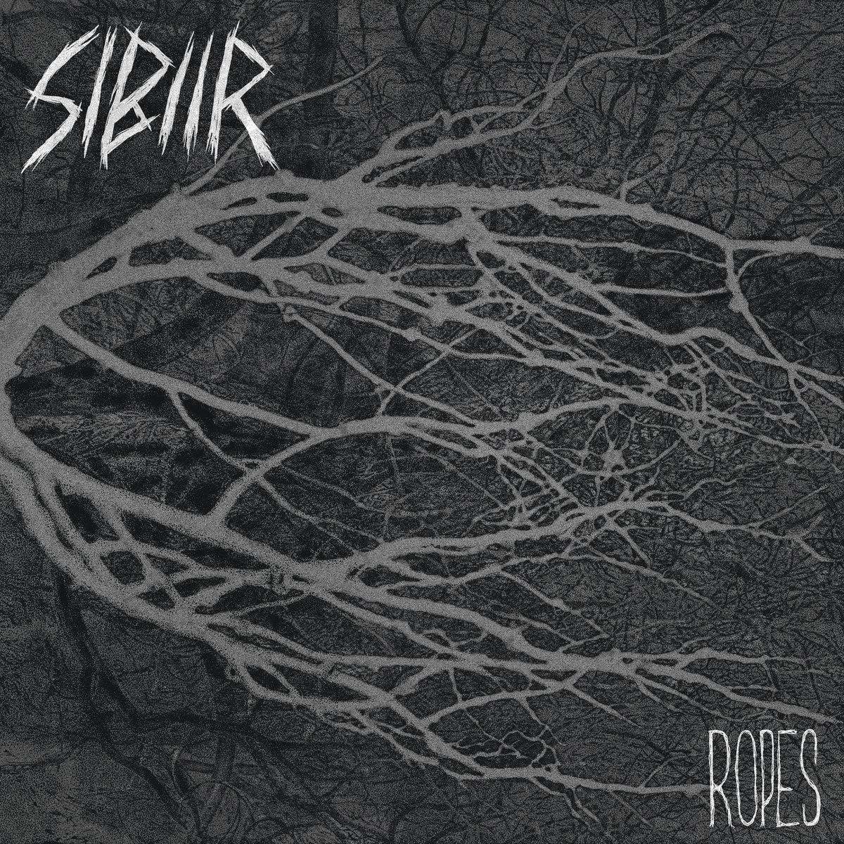 Vinyl Record Sibiir - Ropes (LP)