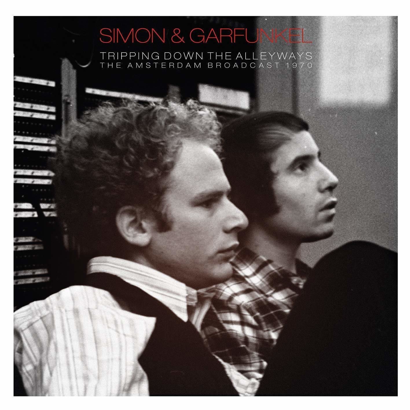 Vinylskiva Simon & Garfunkel - Tripping Down The Alleyways (2 LP)