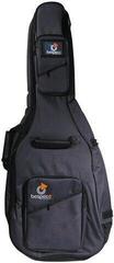 Bespeco BAG100CG