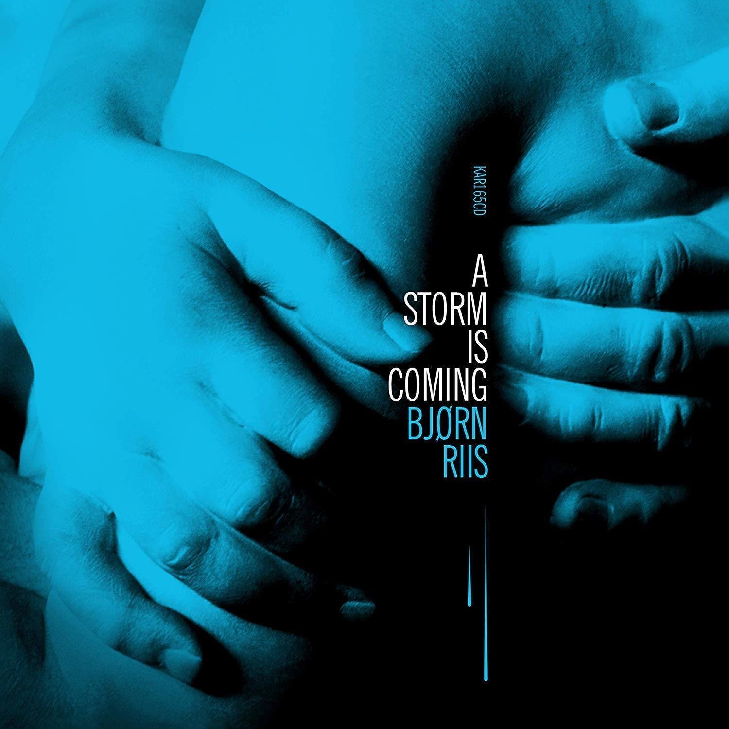 Vinyl Record Bjorn Riis - A Storm Is Coming (LP)