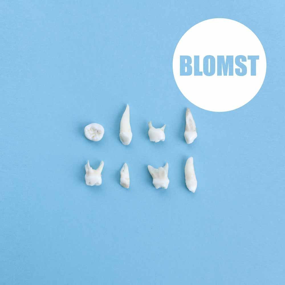 Vinyylilevy Blomst - Blomst (LP)