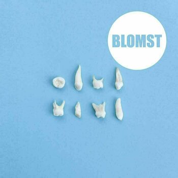 Vinylplade Blomst - Blomst (LP) - 1