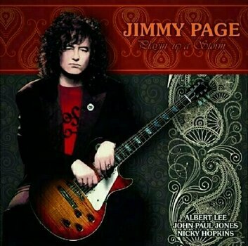 Vinyl Record Jimmy Page - Playin Up A Storm (LP) - 1