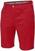 Shorts Galvin Green Paolo Ventil8+ Red 40