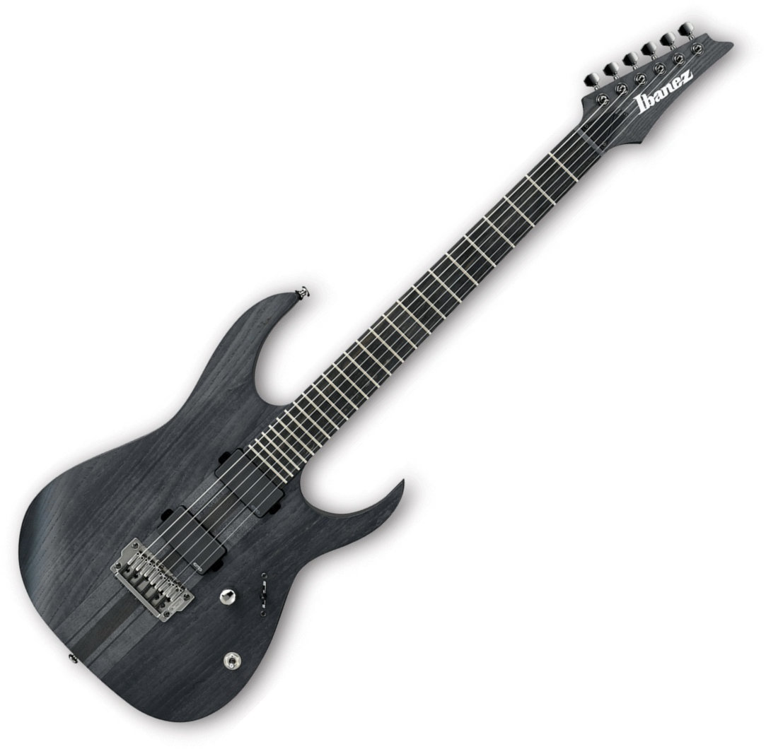 Elektrisk gitarr Ibanez RGIT20FE Transparent Gray Flat